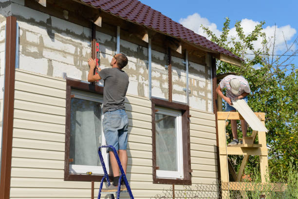 Best Custom Trim and Detailing for Siding  in The Galena Territory, IL